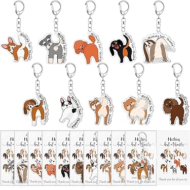 Amazon.com New Releases: The best-selling new & future